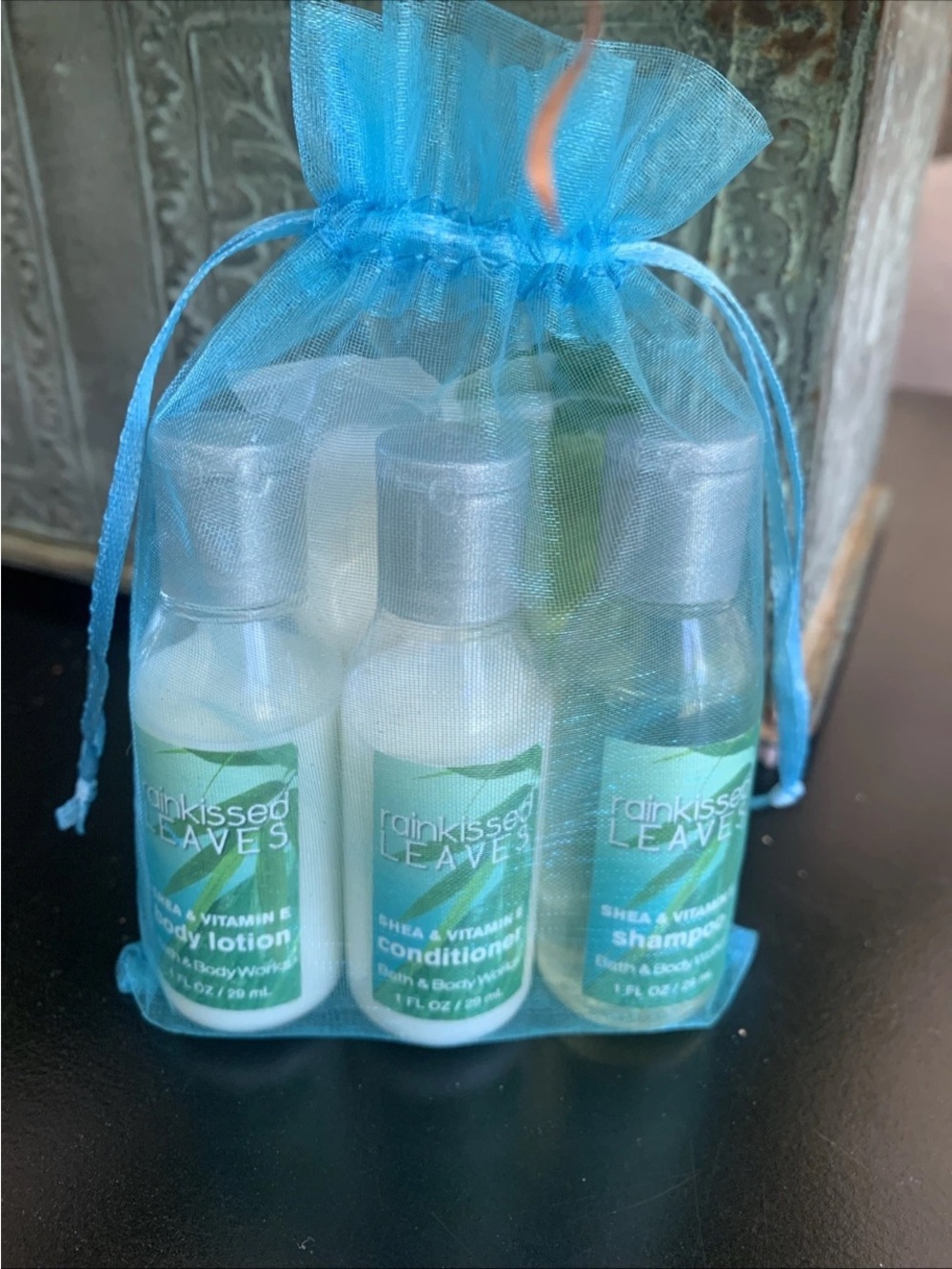 Bath & Body Works Rainkissed Leaves Travel Soap Shampoo Conditioner Body Lotion